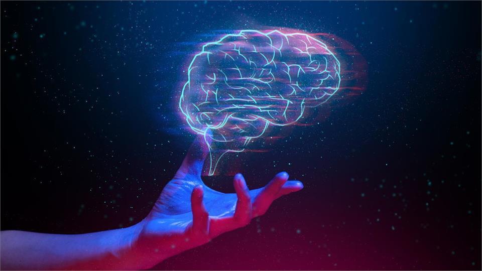 فدراسیون آمادگی جسمانی و تندرستی، هوش حرکتی